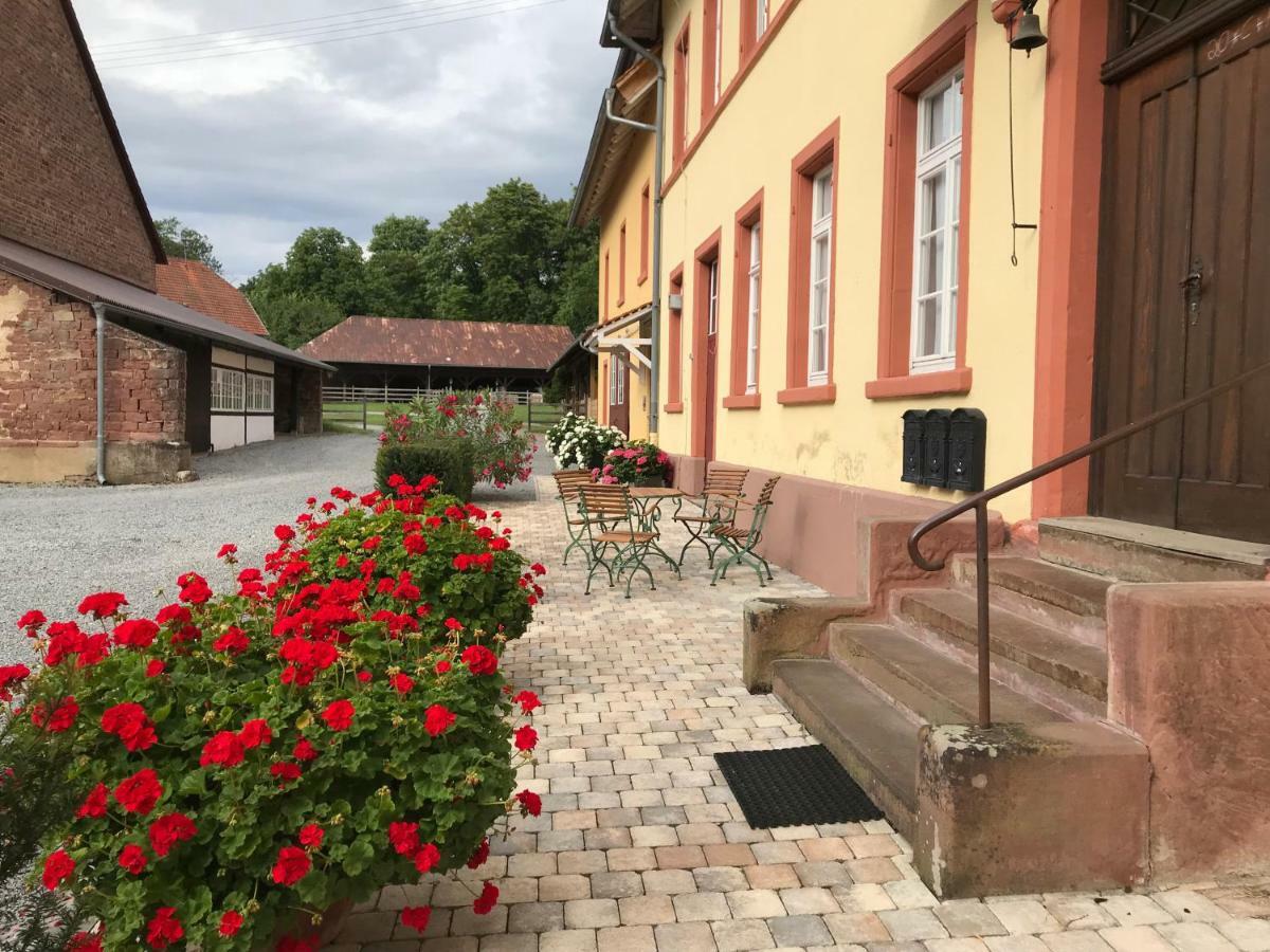 Wiesenbach Elegantes Gaesteapartment Verano In Schloss Und Hofgut Langenzell מראה חיצוני תמונה